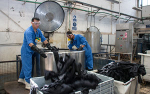 Wet Process Wet Process 9 300x188